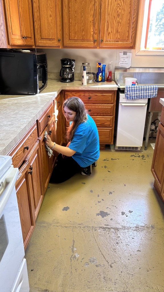 Cleaning  Cabinets